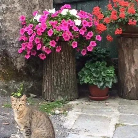 La Casa Di Pietra A * Carro