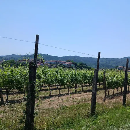 La Casa Di Pietra A * Carro